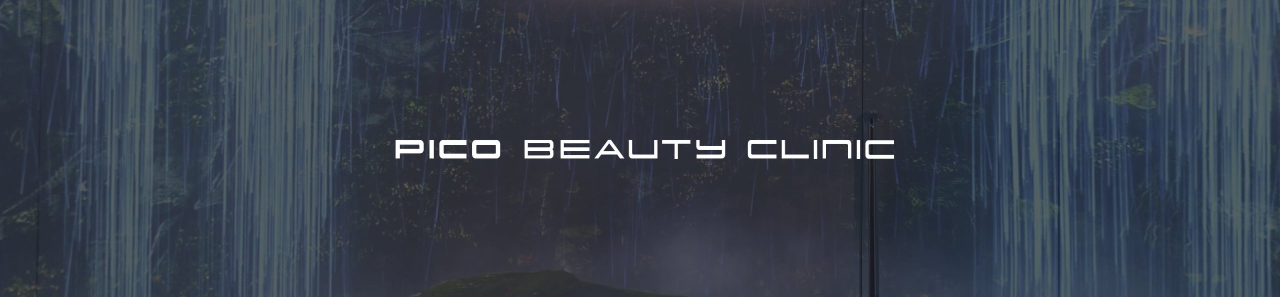 PICO BEAUTY CLINIC 新宿
